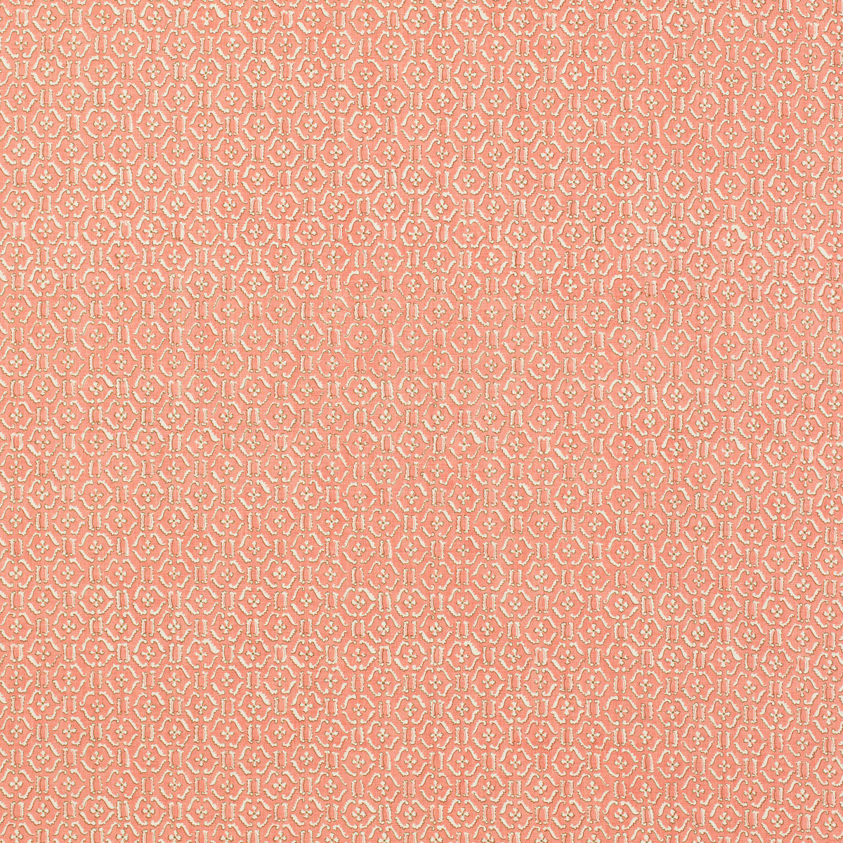 REMY CORAL