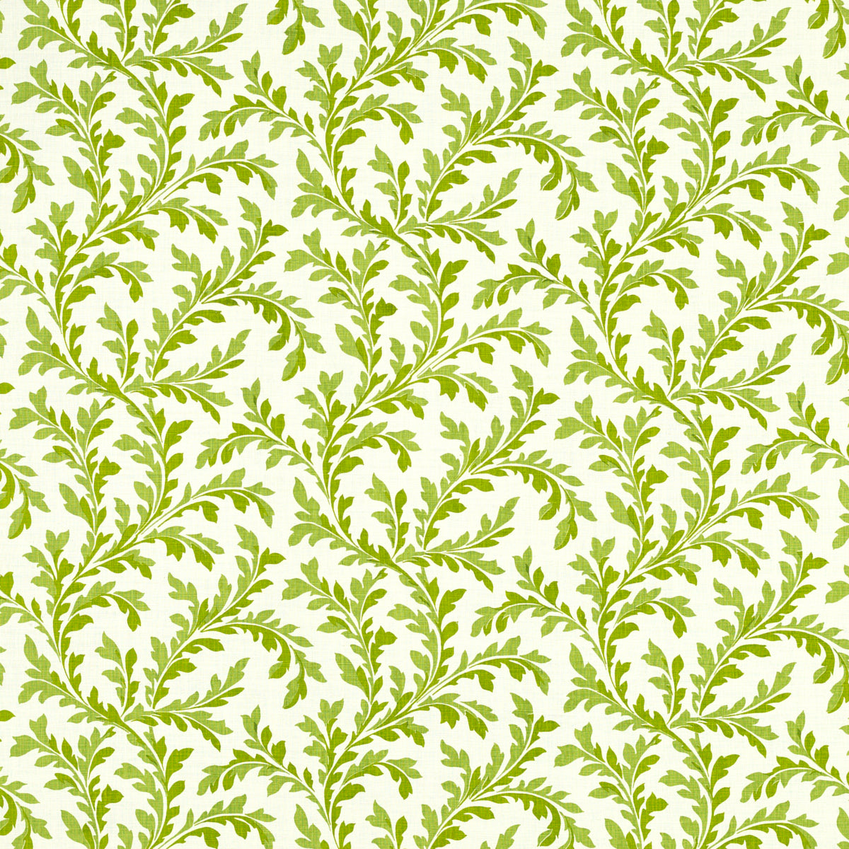 VERA LAWN