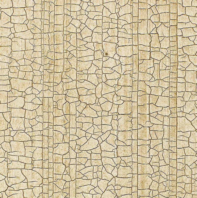 MASACCIO GROUND CHAMPAGNE