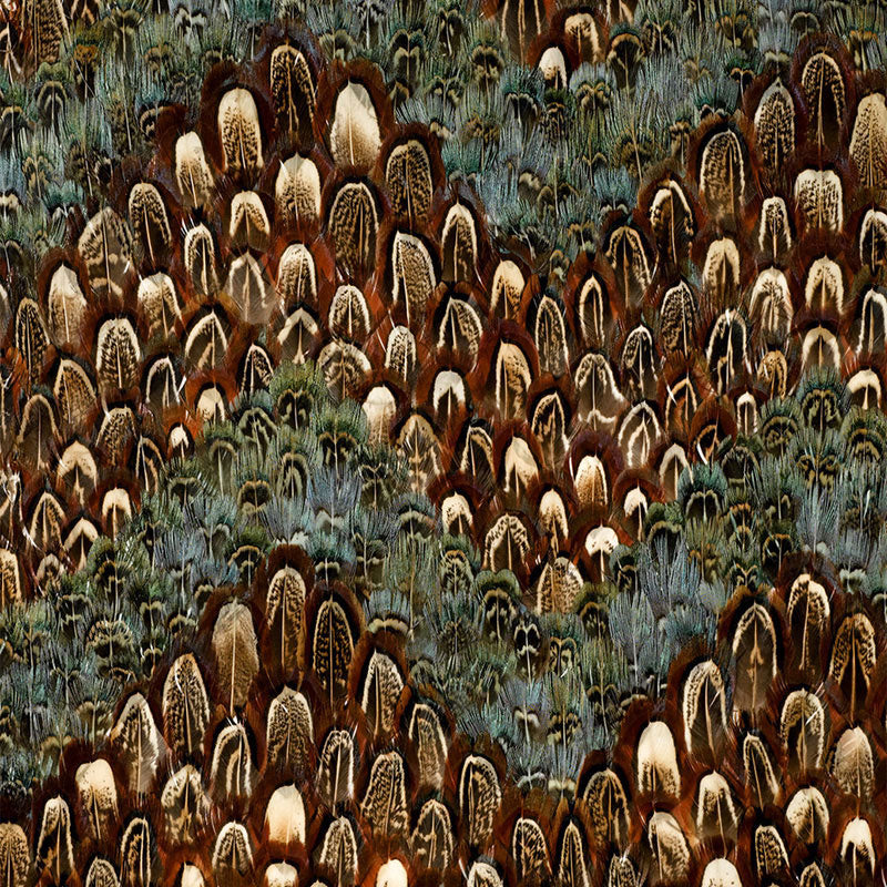 CHESAPEAKE TOPAZ