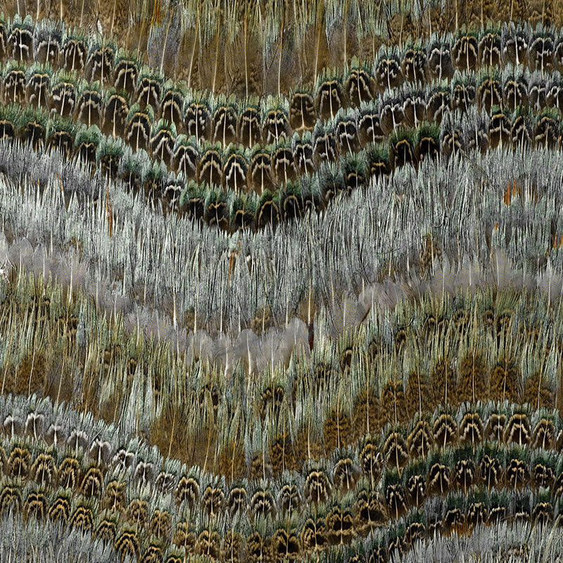 Schumacher CLEARWATER BLUE HERON Wallcovering | Atlanta Fabrics