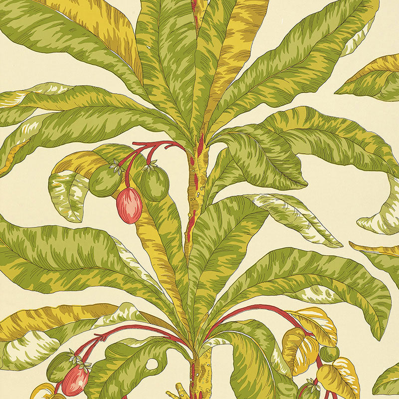 BLAIR HOUSE PALM TROPICAL
