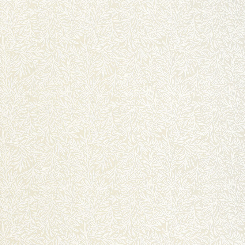 WILLOW LEAF FLAX