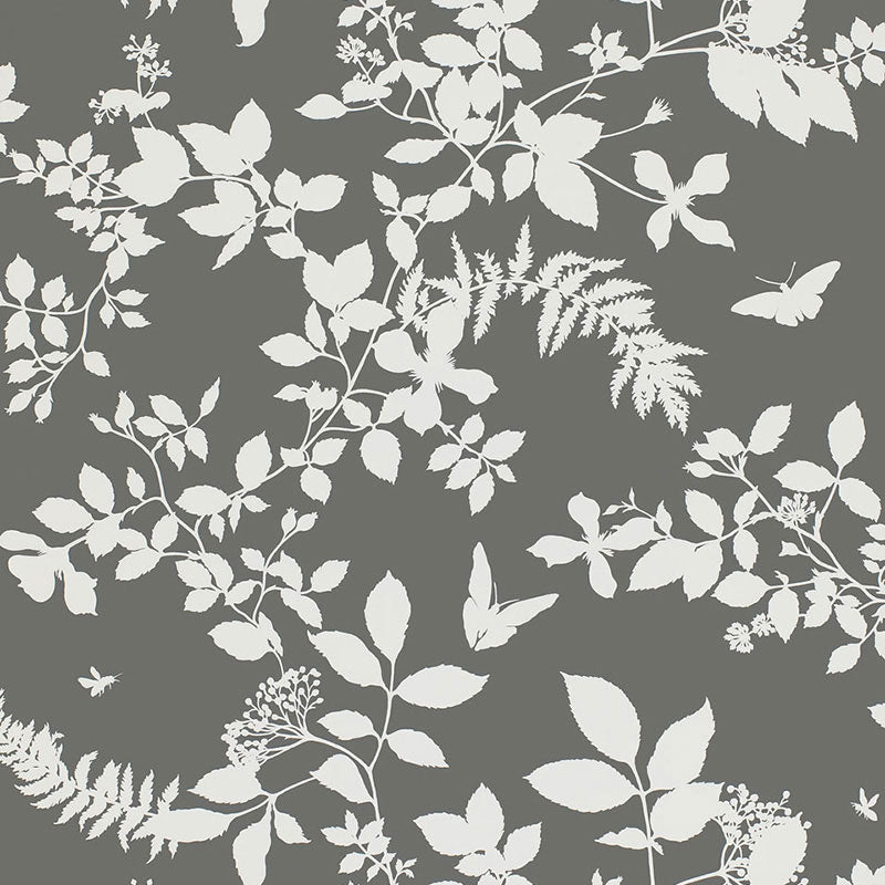 SHADOW VINE CHARCOAL