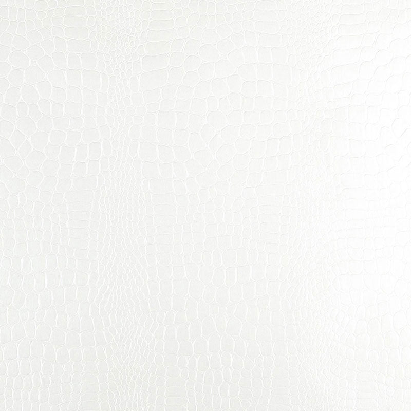 CROCODILE WHITE