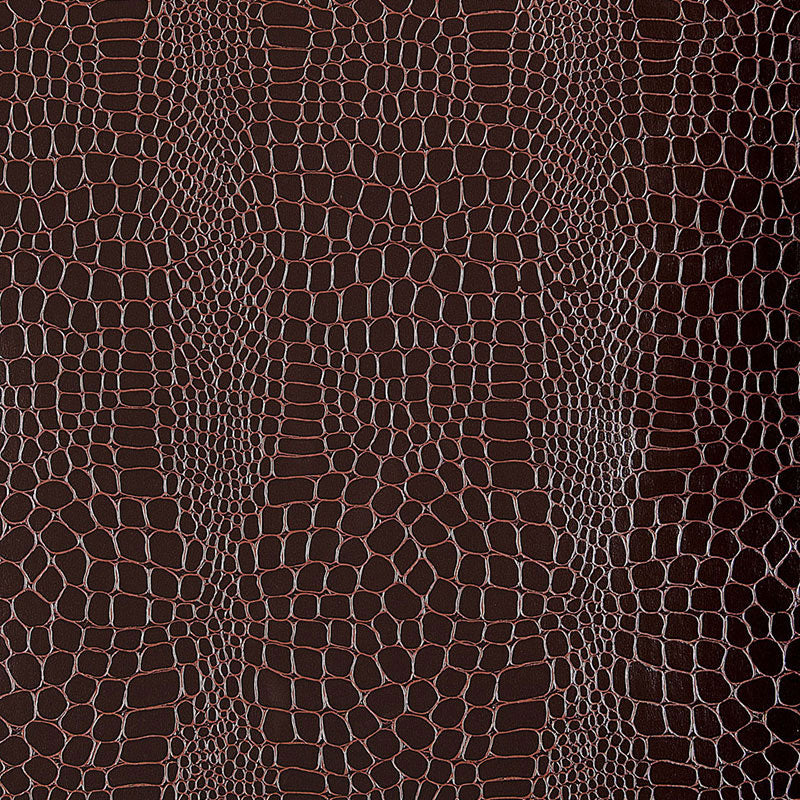 Crocodile Java