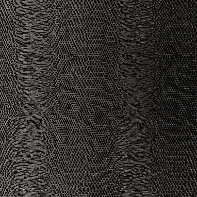 Lizard Carbon