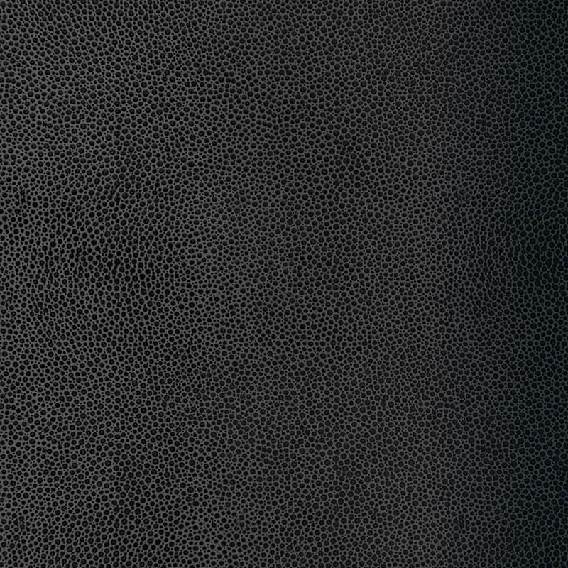 Shagreen Carbon