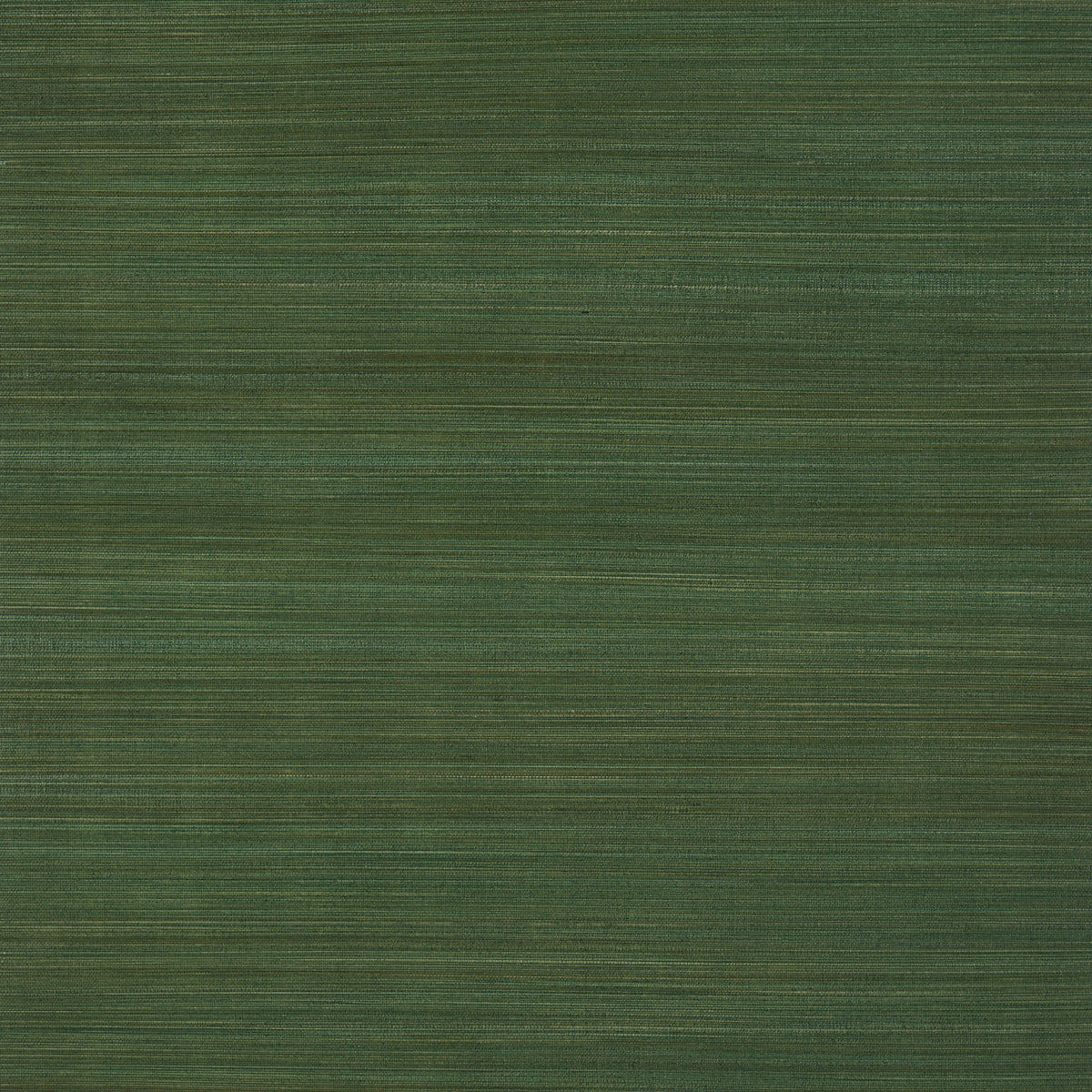ZEN BAMBOO PALM