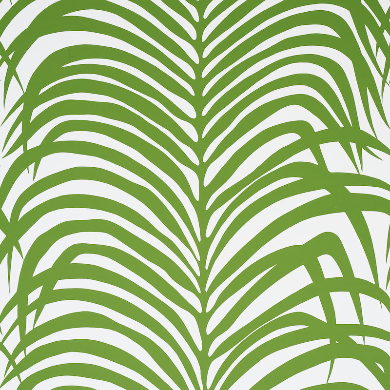 ZEBRA PALM JUNGLE