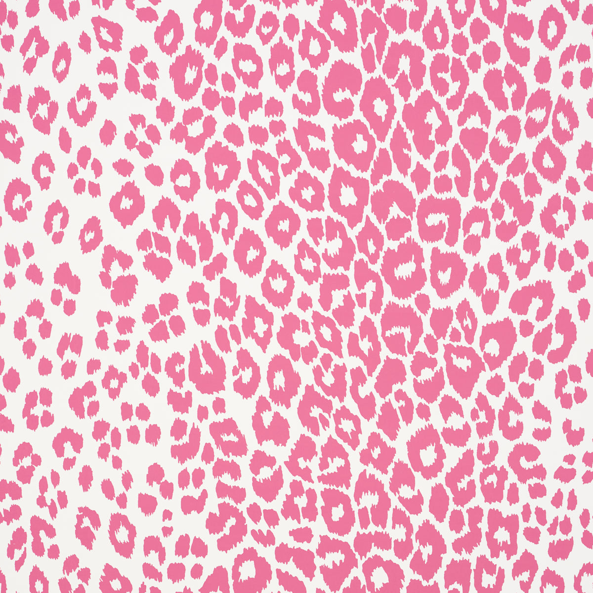 ICONIC LEOPARD PINK