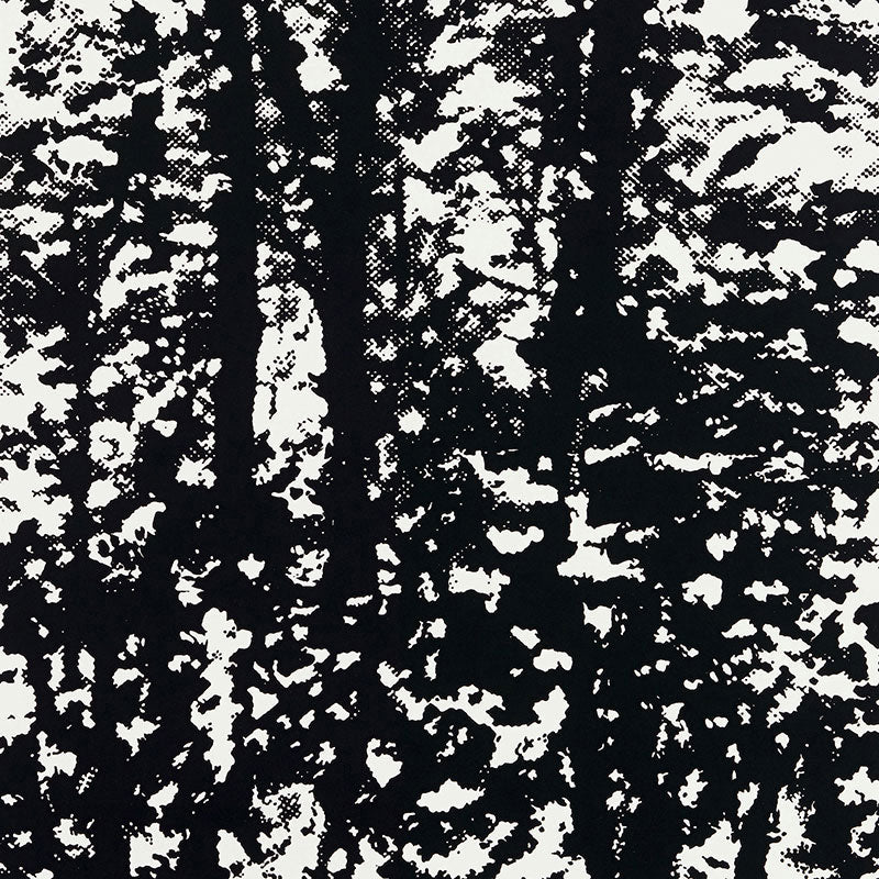 WOODLAND NIGHT