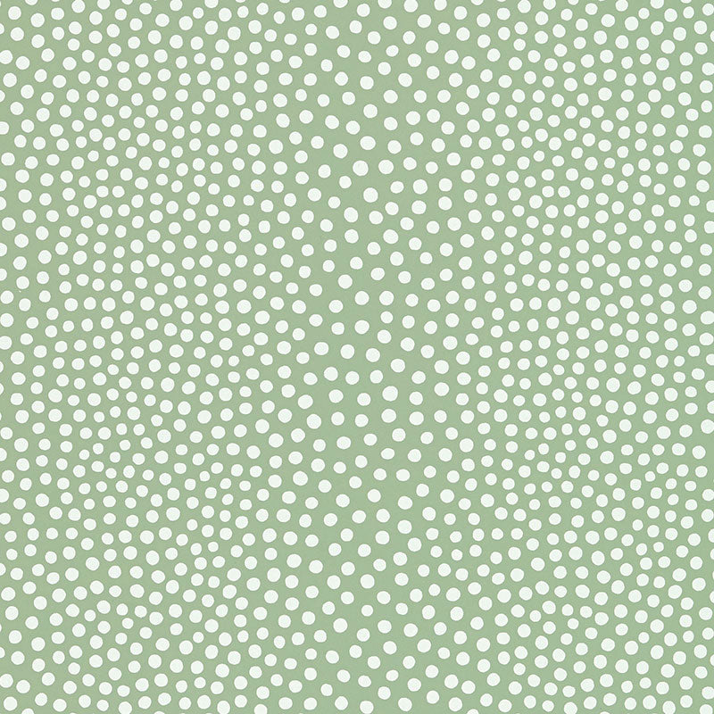 RAINDOTS SPRING
