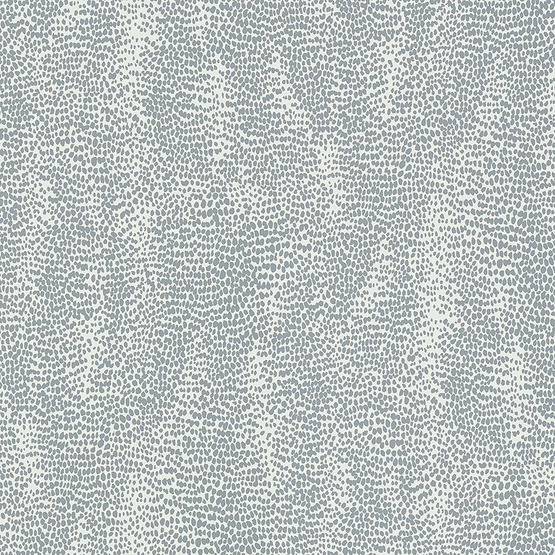 DRIZZLE DOVE