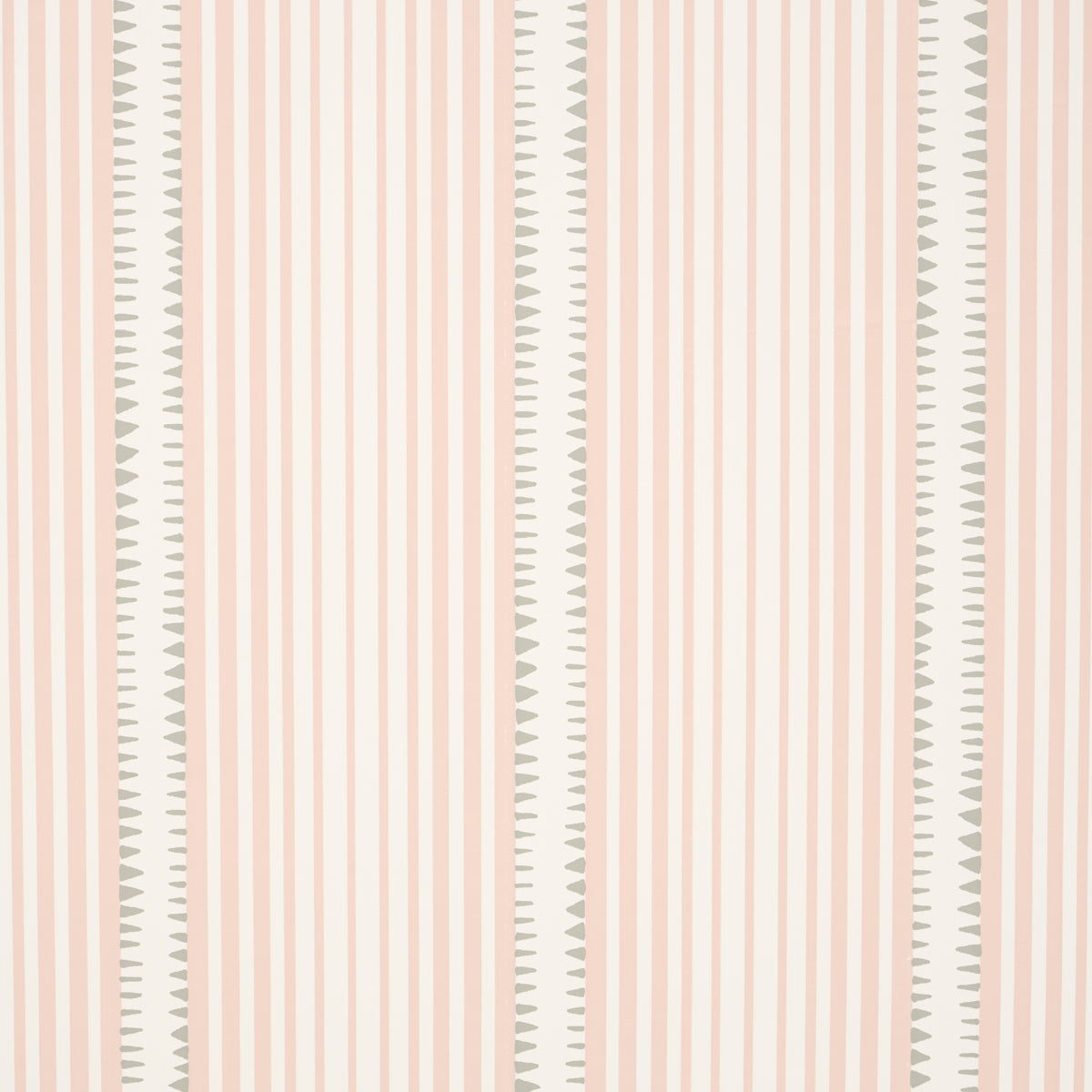 MONCORVO PINK