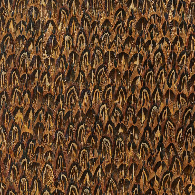 GOLD QUAIL