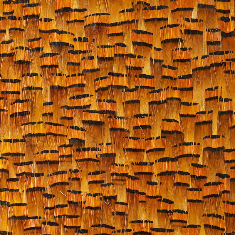 BAUXITE GOLDENROD