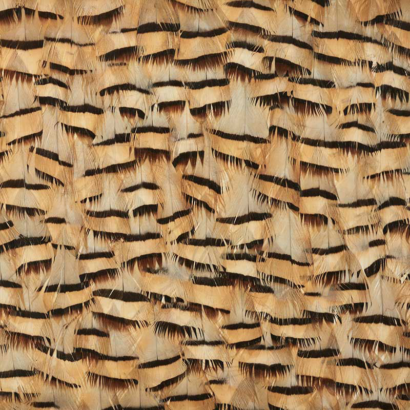 MUSCOVITE CRACKER KHAKI