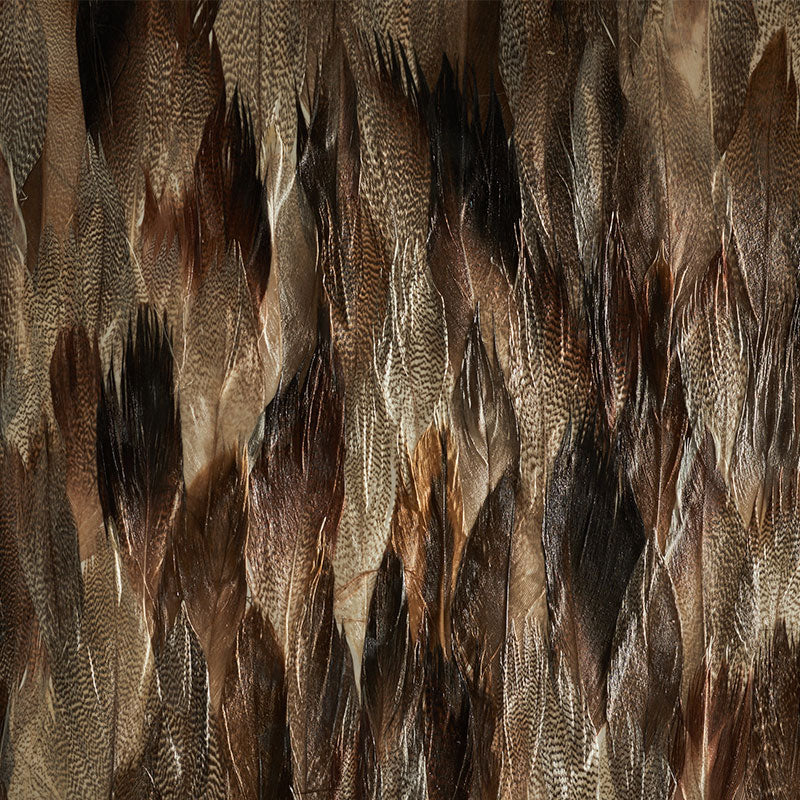 IRIDIUM TAIL
