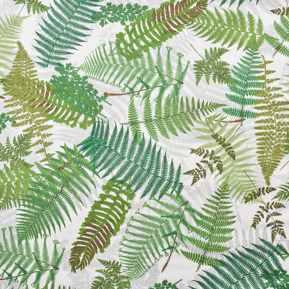 FERNARIUM IVORY & LEAF