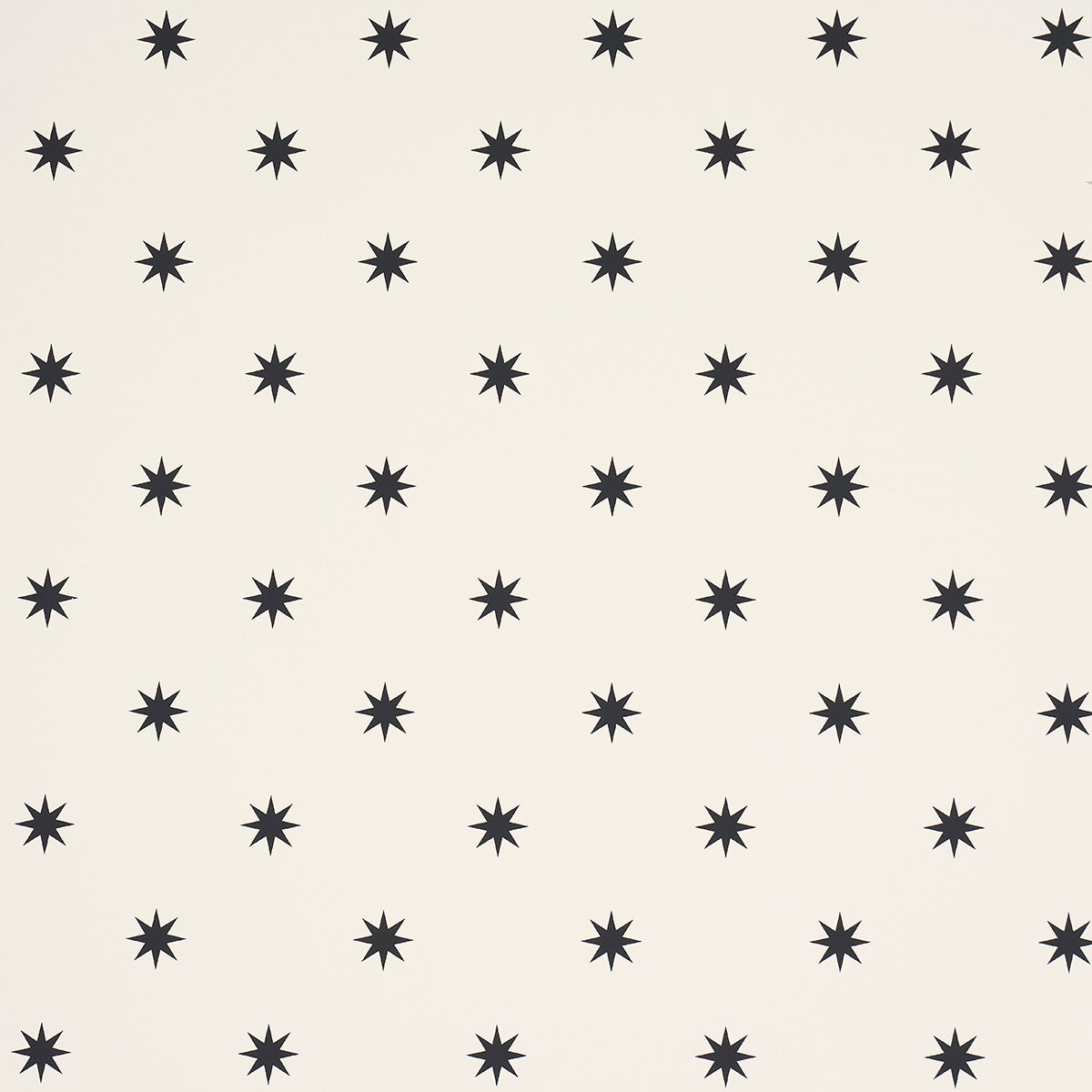 Stargaze Black & Cream