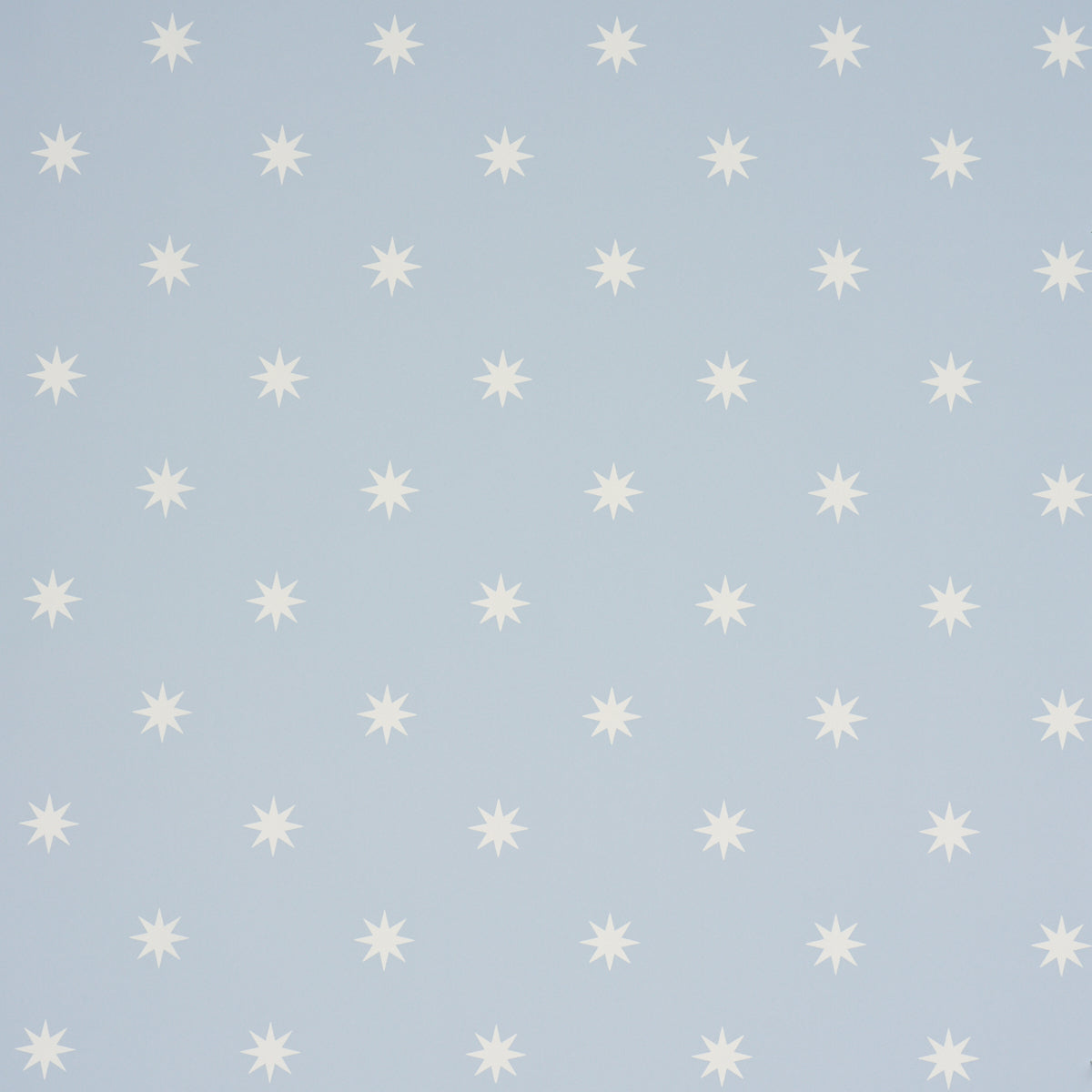 Stargaze Sky