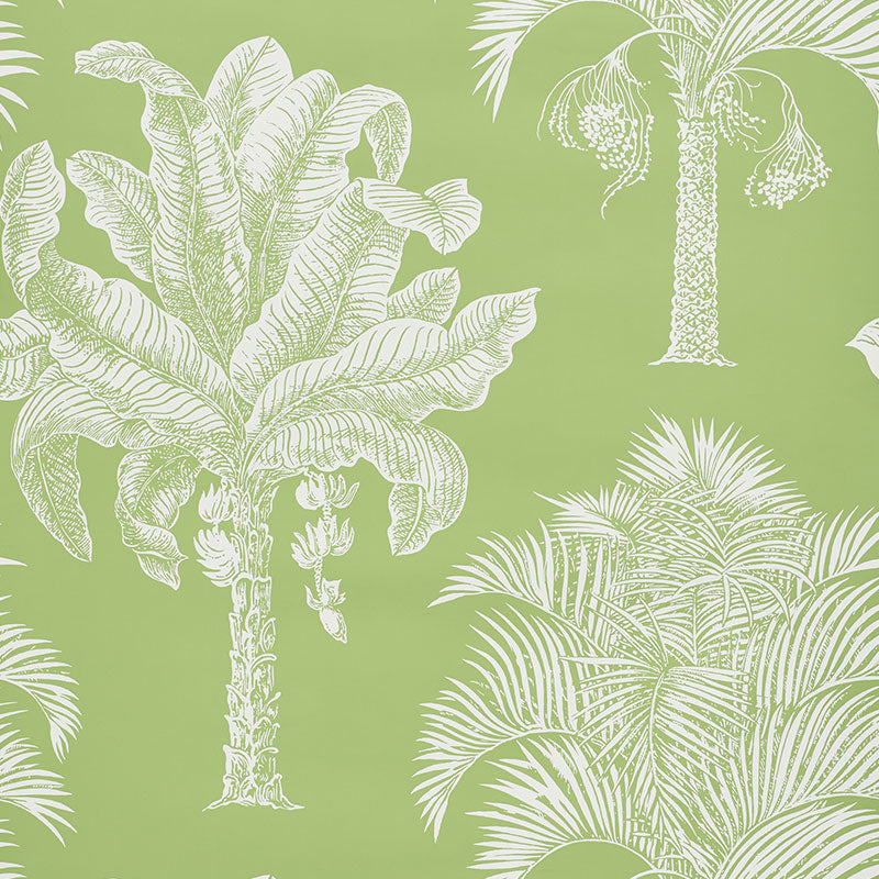 GRAND PALMS LEAF