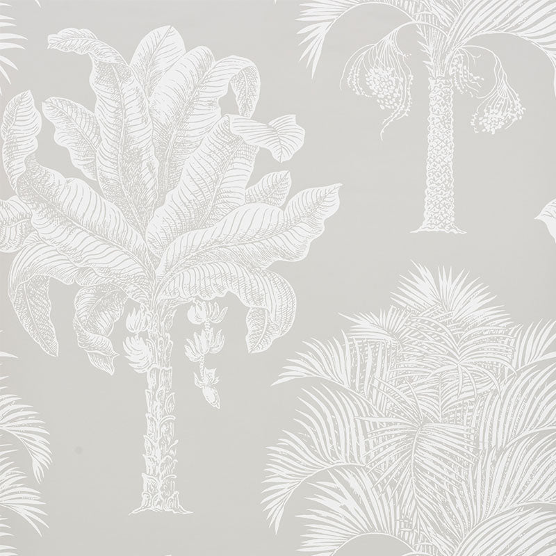 GRAND PALMS DOVE