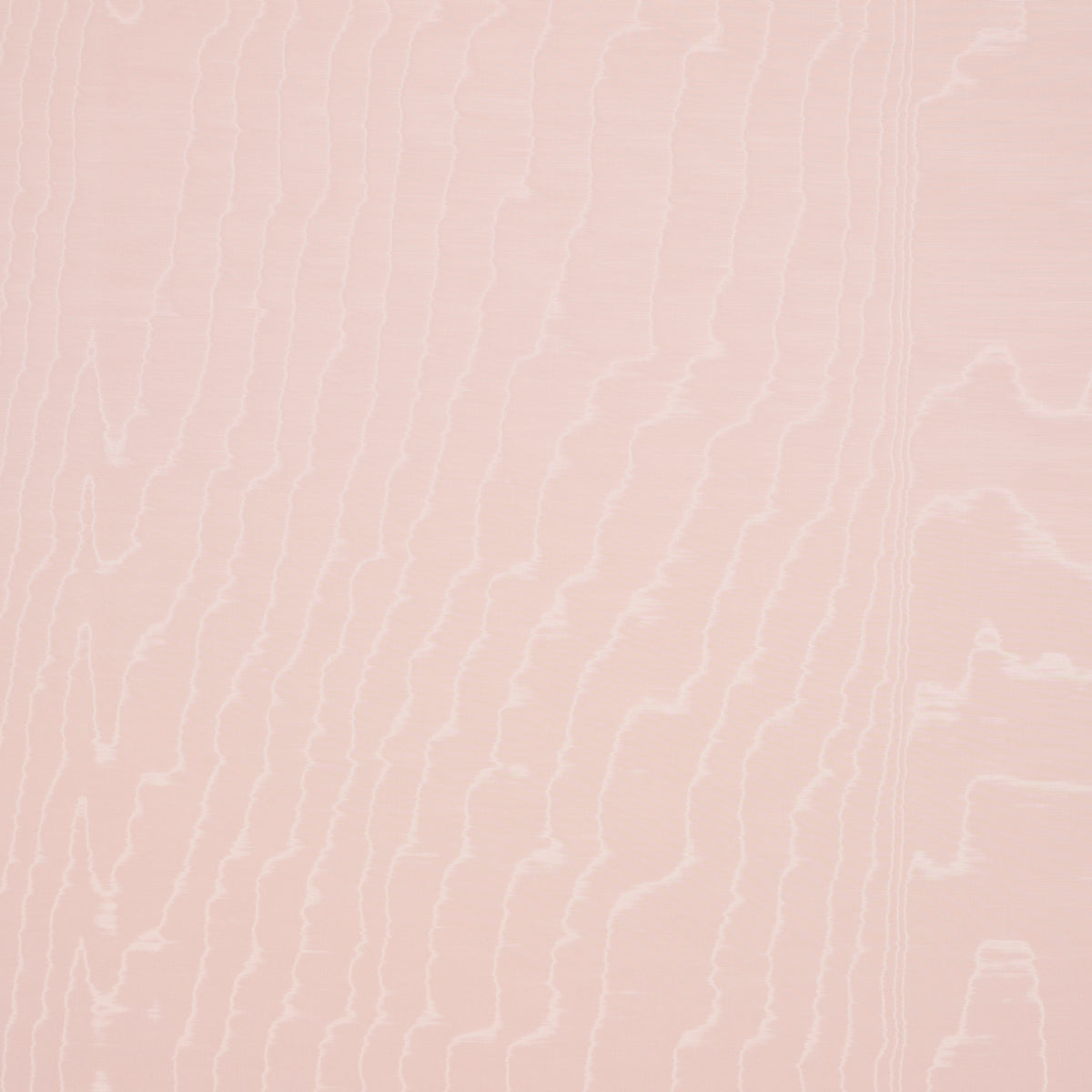 MOIRÃ‰ WALLCOVERING ROSE