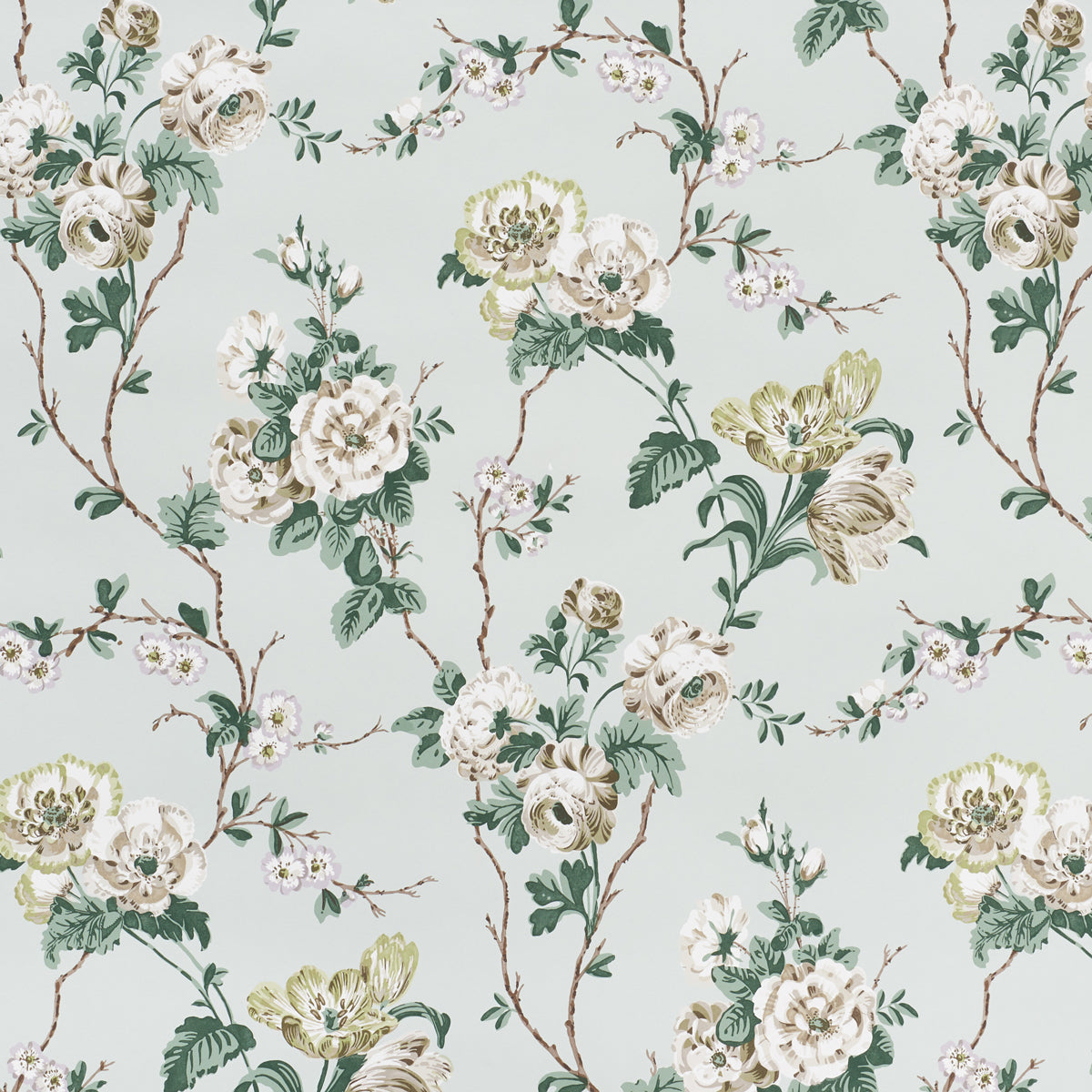 BETTY CELADON