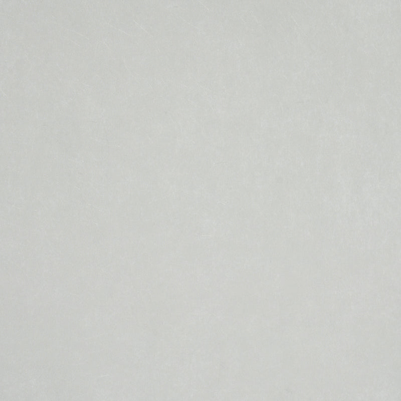 Schumacher VILLA TEXTURE GREY  | Atlanta Fabrics