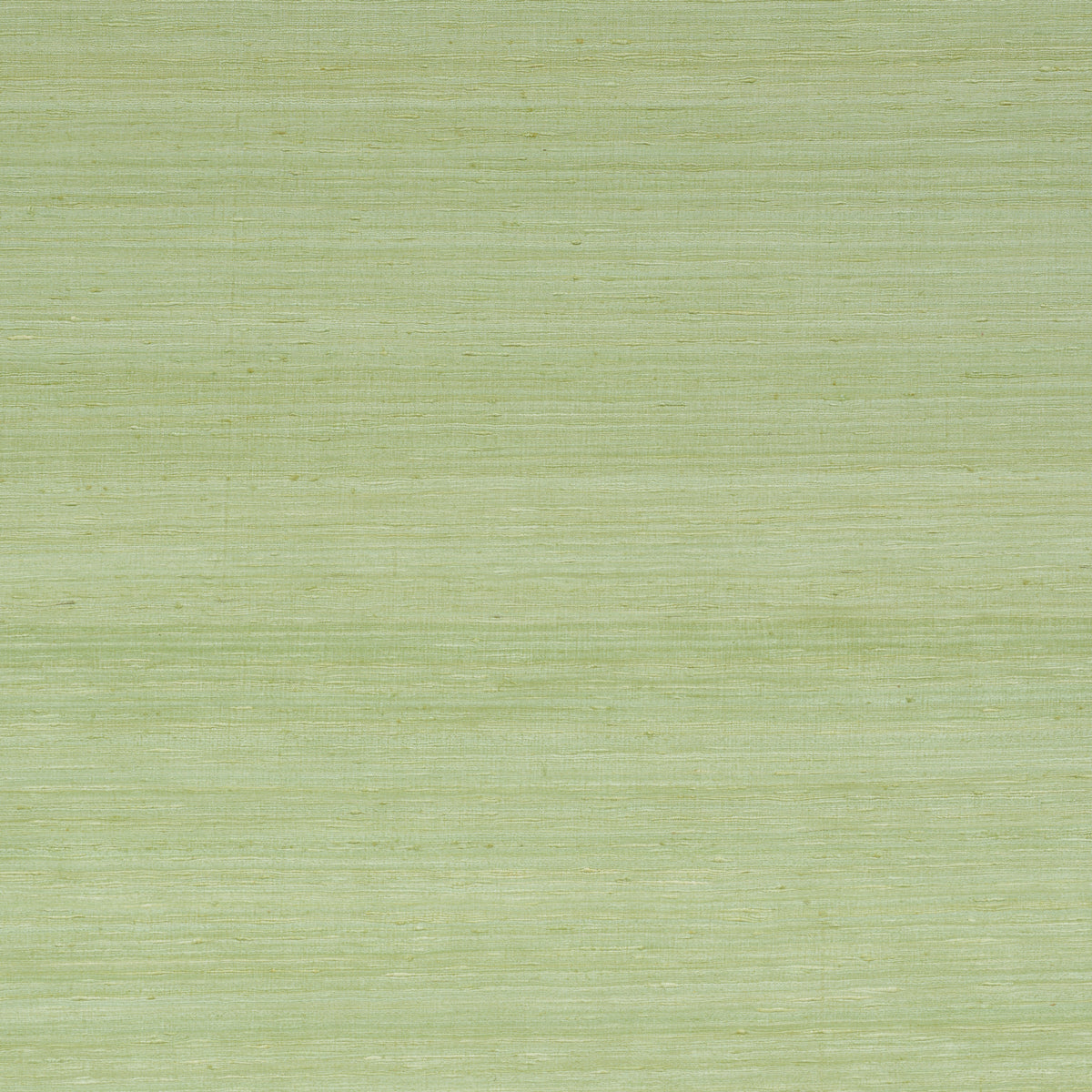 SILK STRIE LEAF