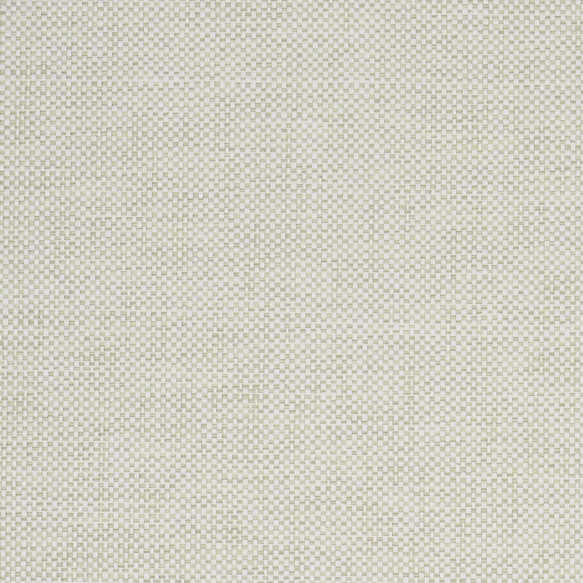 TONAL PAPERWEAVE SAGE
