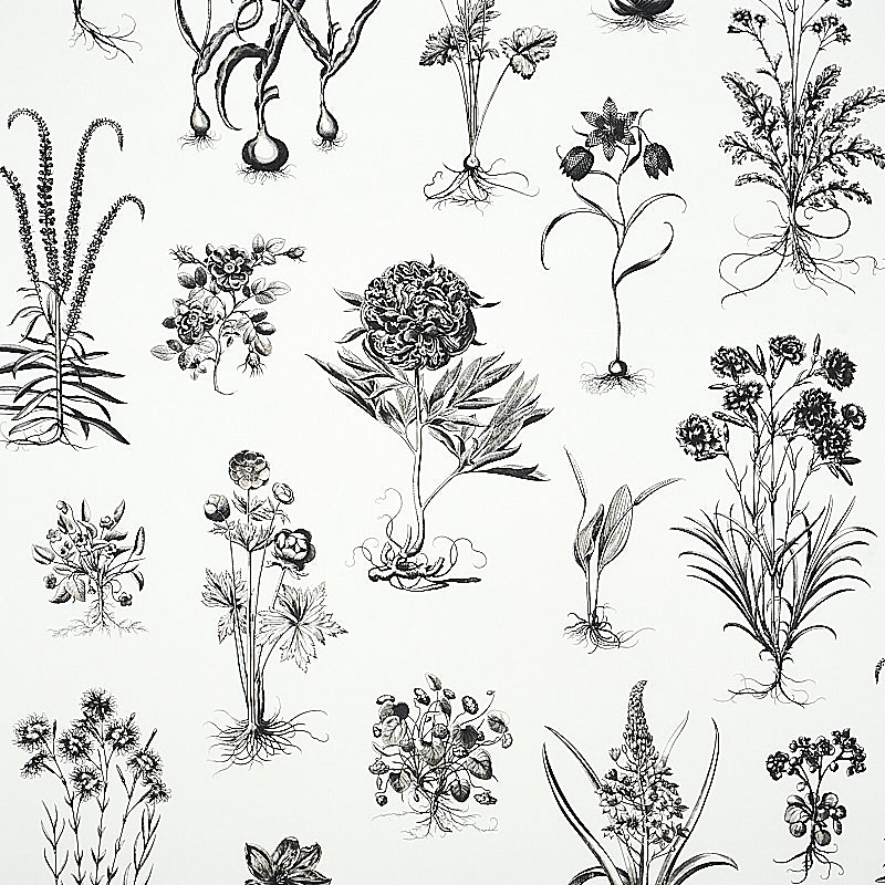 CABOT BOTANICAL LARGE IVORY