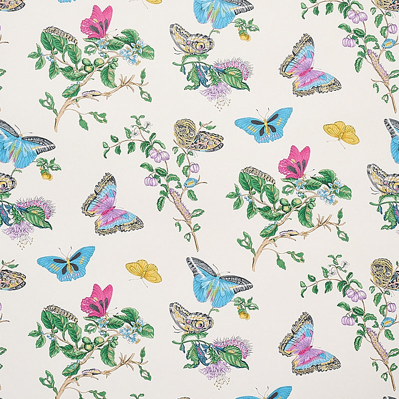 BAUDIN BUTTERFLY TURQUOISE