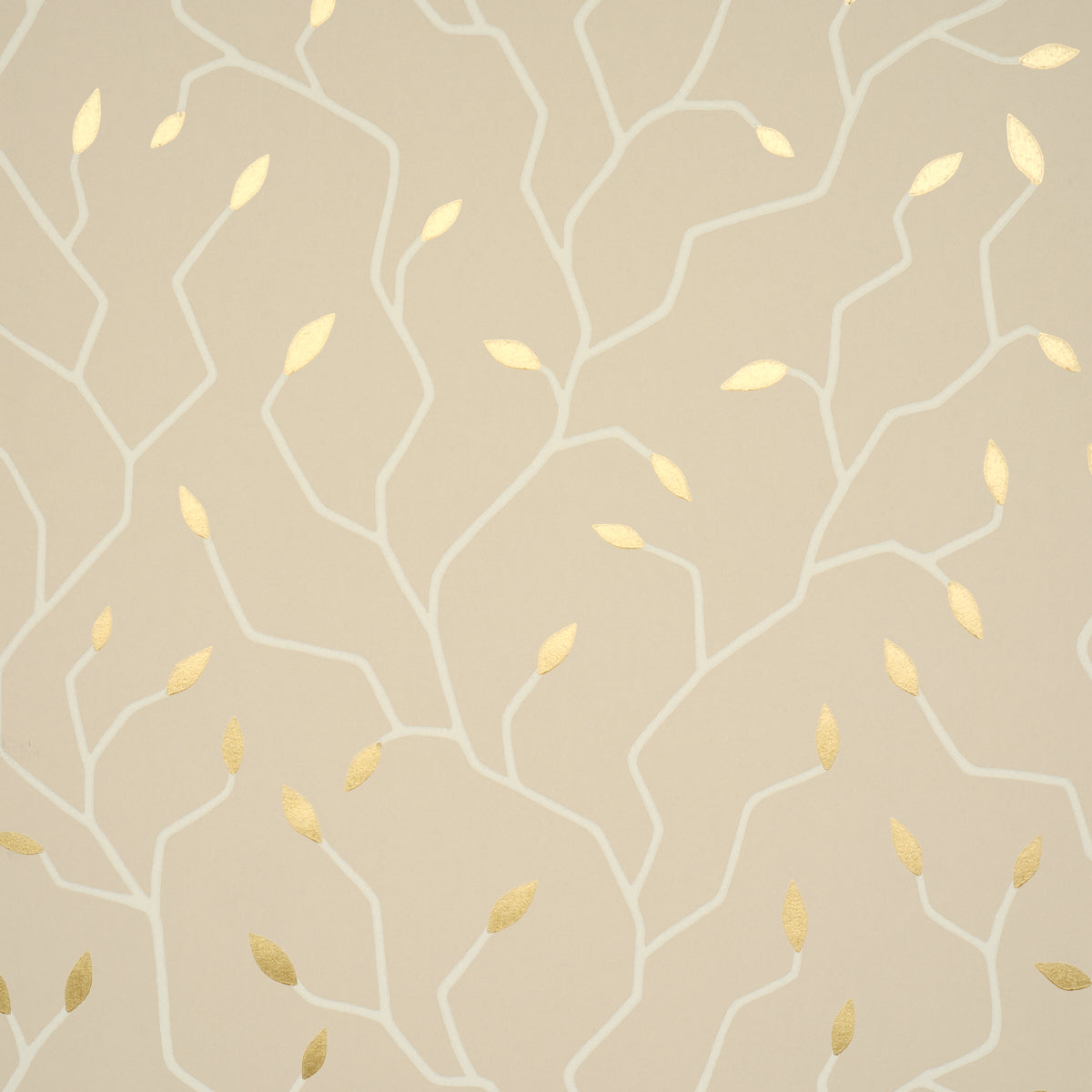 Cymbeline Alabaster