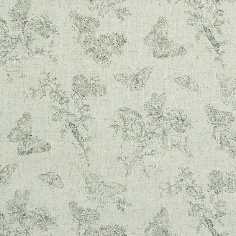 Schumacher BAUDIN BUTTERFLY LINEN BLACK  | Atlanta Fabrics