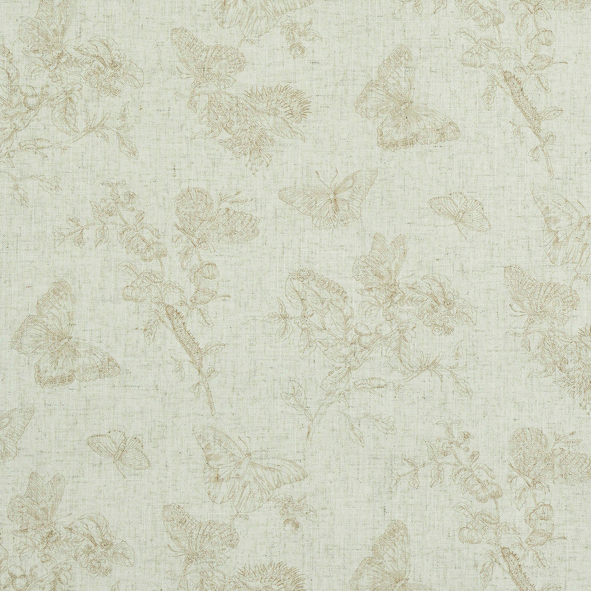 BAUDIN BUTTERFLY LINEN NATURAL