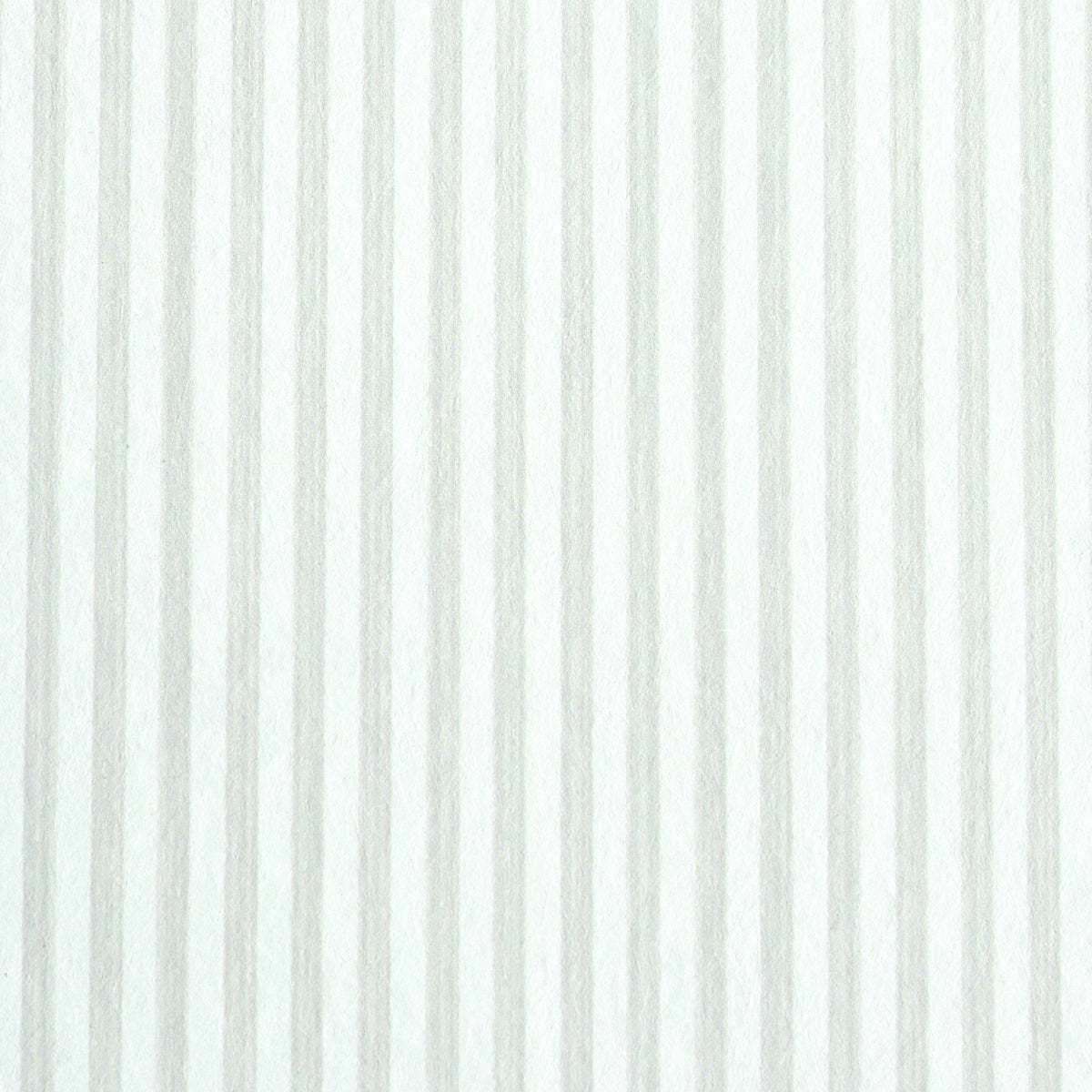 EDWIN STRIPE NARROW BIRCH
