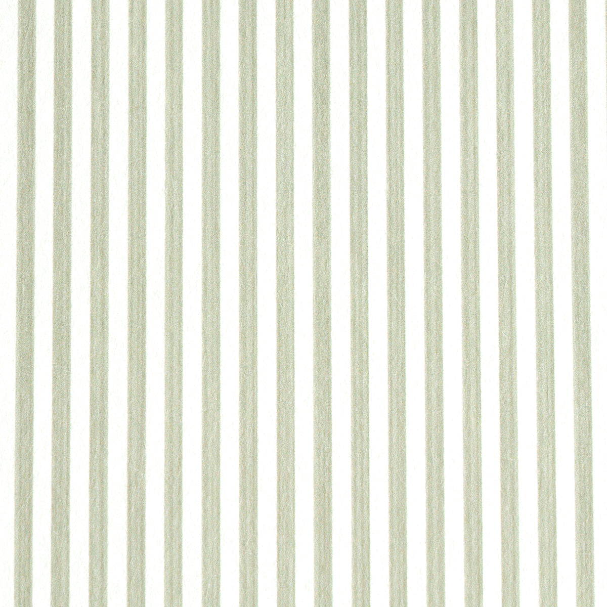 EDWIN STRIPE NARROW LINEN