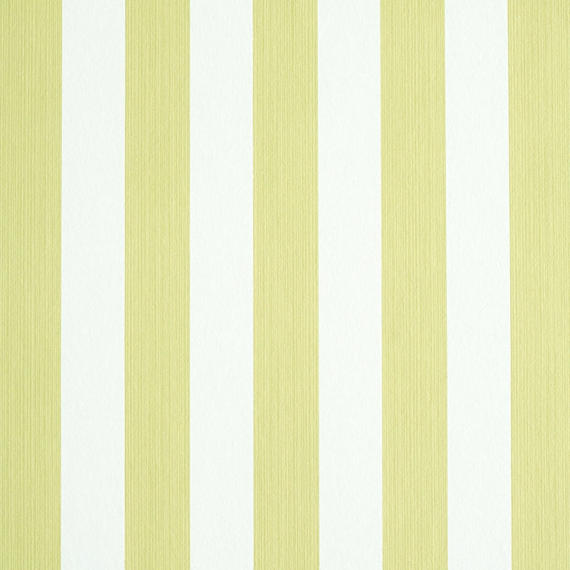 EDWIN STRIPE MEDIUM CITRON
