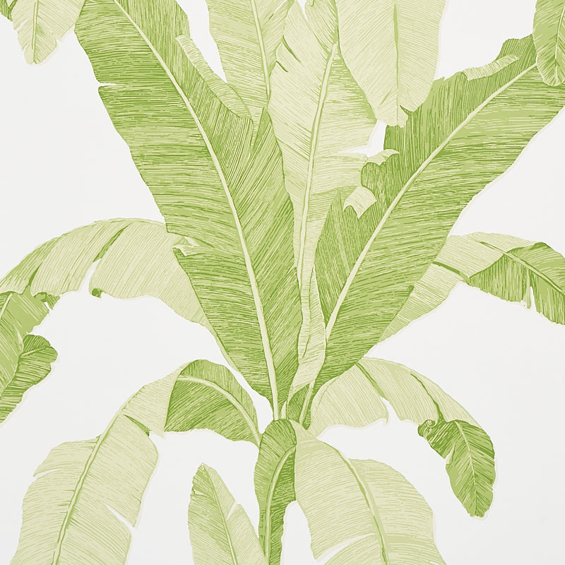 Schumacher ERISIMO LEAF  | Atlanta Fabrics
