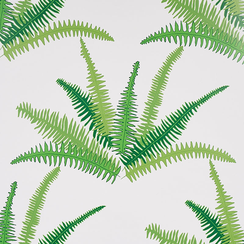 CANYON FERNS JUNGLE