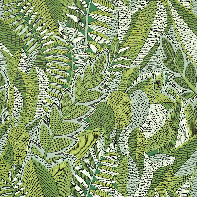JAPURA FOREST GREEN