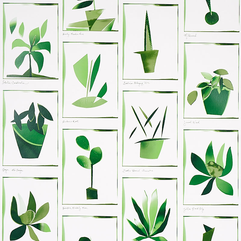 BOTANICALS GREENHOUSE