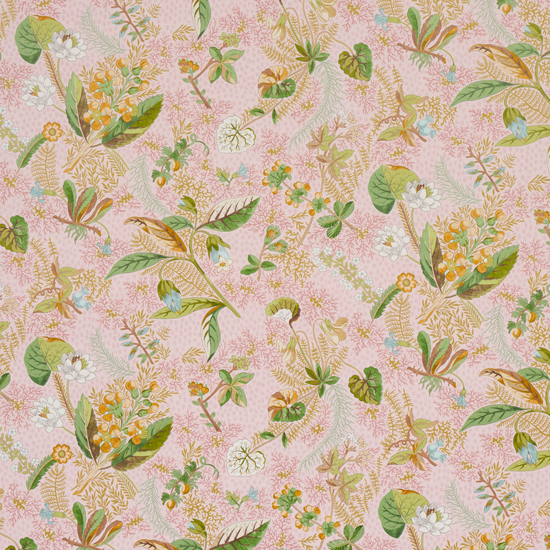 Schumacher BLACKWELL BLUSH  | Atlanta Fabrics
