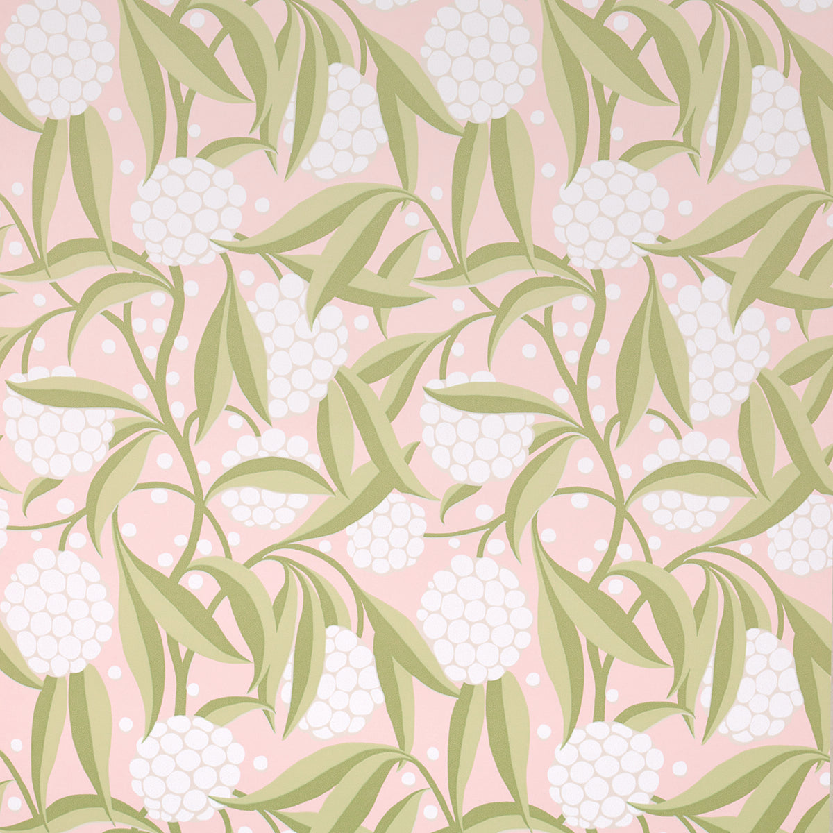 RUBUS BLUSH