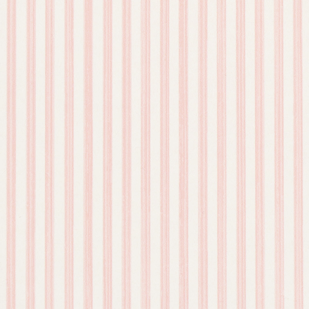 EDWIN STRIPE NARROW PETAL