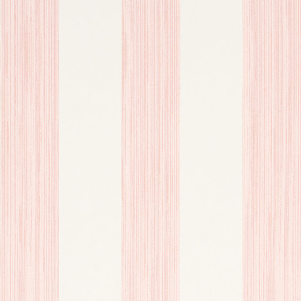 EDWIN STRIPE WIDE PETAL