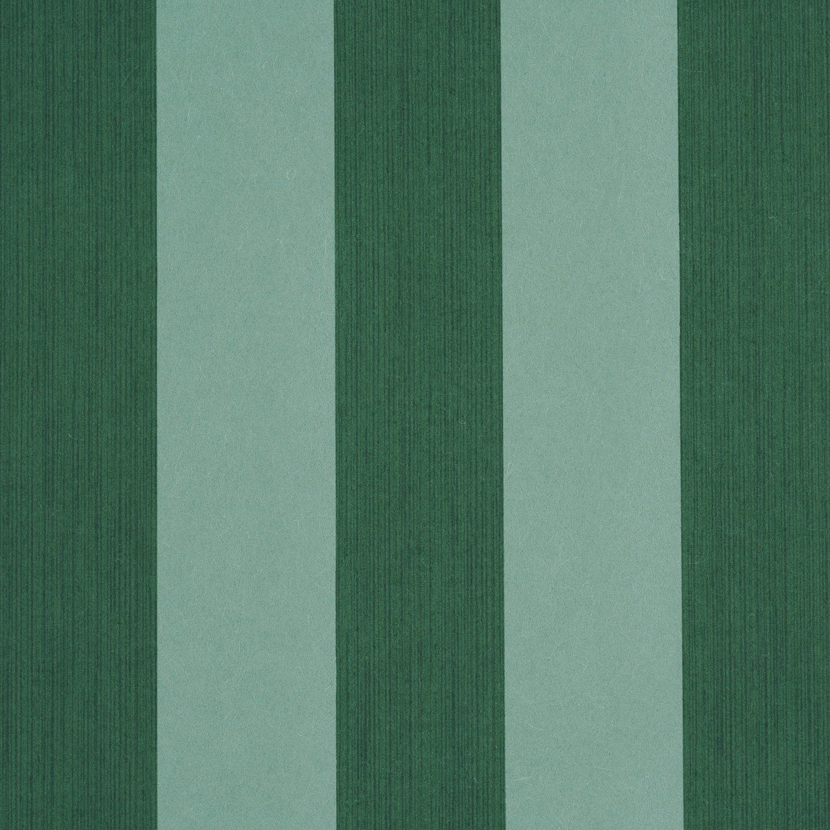 EDWIN STRIPE WIDE DARK GREEN